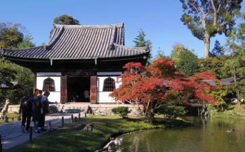 pict-高台寺 14.jpg