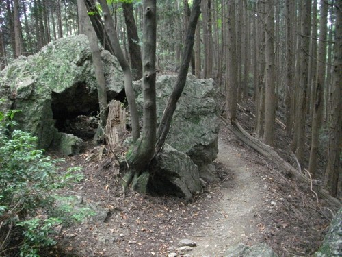 伊豆ヶ岳尾根道 (3) (500x375).jpg