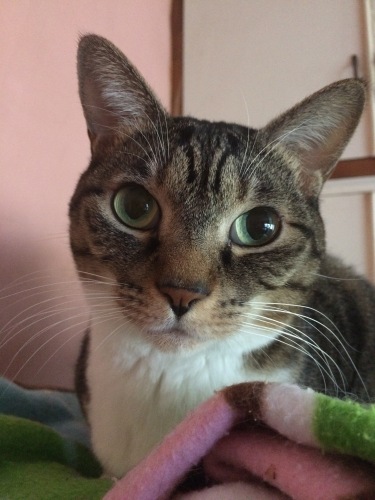 IMG_0770 - コピー.JPG