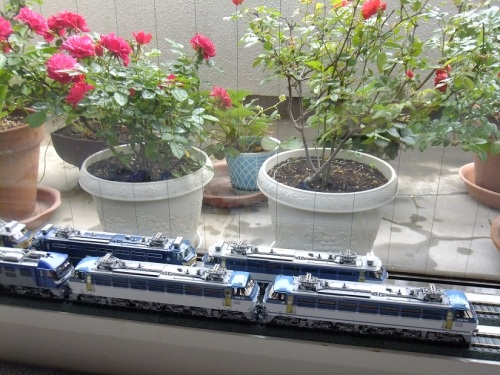 6. ムサシノモデル.JPG