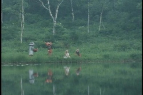 PDVD_002.jpg