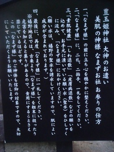 なまず様のお参りの仕方.JPG
