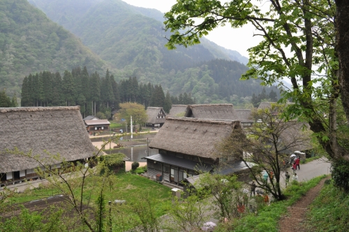 菅沼合掌造り集落1.jpg
