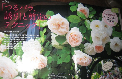 趣味の園芸12月号.JPG