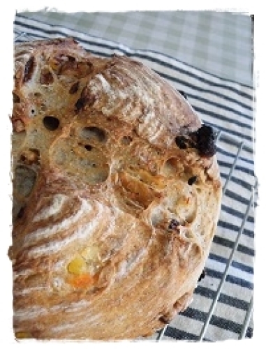pan11082.jpg