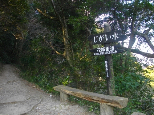 花嫁街道じがい水 (2) (500x375).jpg