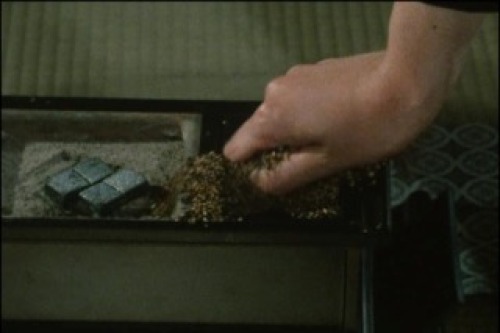 PDVD_027.jpg