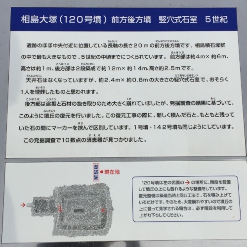 IMG_9195 (640x640).jpg