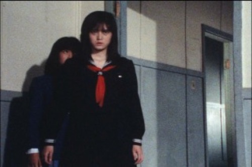 PDVD_289.jpg