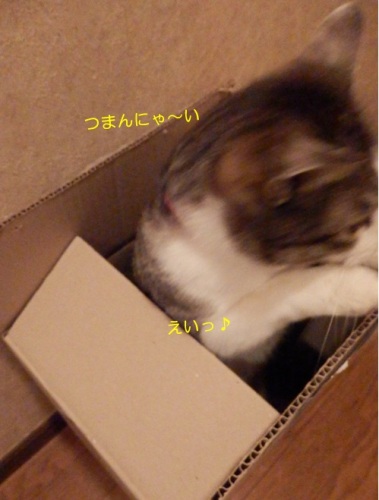 20150325_3.jpg