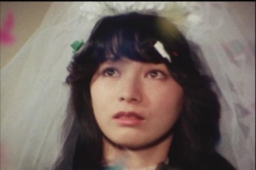 PDVD_014.jpg