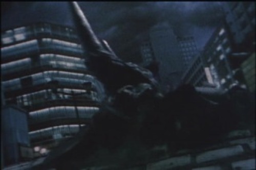 PDVD_005.jpg