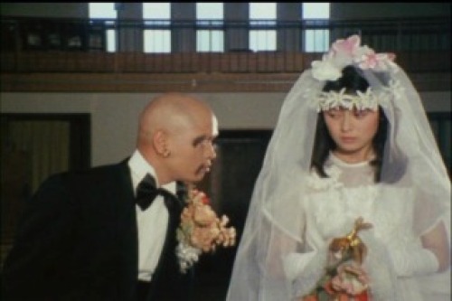 PDVD_035.jpg