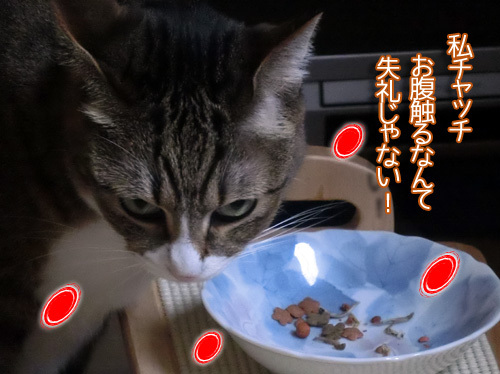 0.jpg
