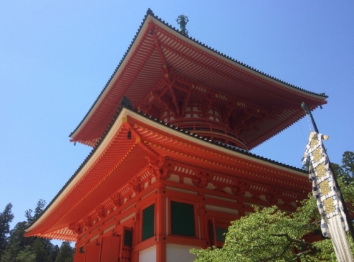 IMG_1051 (640x473).jpg