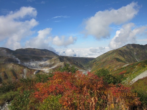 IMG_3309紅葉4.jpg