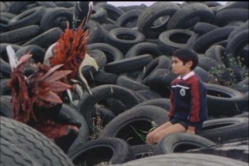 PDVD_004.jpg