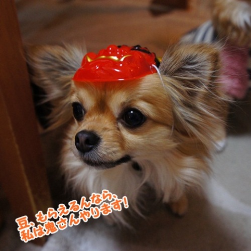 yomotsuku20120203-5.JPG