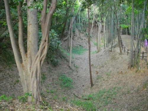 小机城本丸空堀 (500x375).jpg