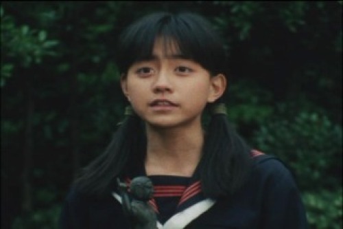 PDVD_008a.jpg