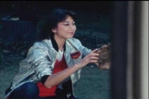 PDVD_010.jpg