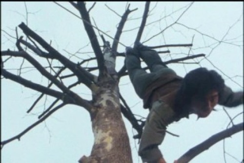 PDVD_004.jpg