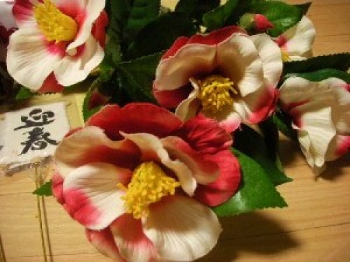 DSCN1599 (300x225).jpg