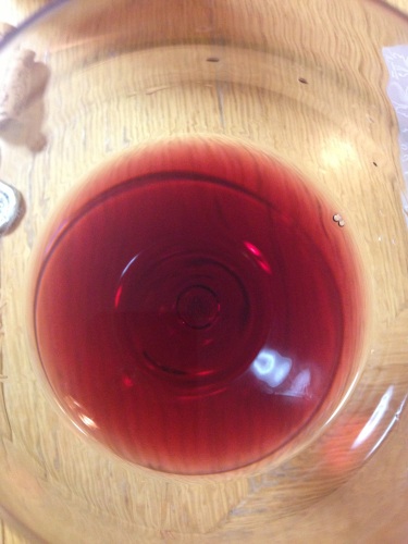 IMG_4357 - コピー縮小.jpg