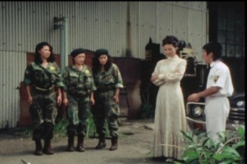 PDVD_014.jpg