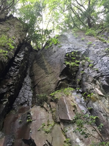 IMG_6662 (480x640).jpg