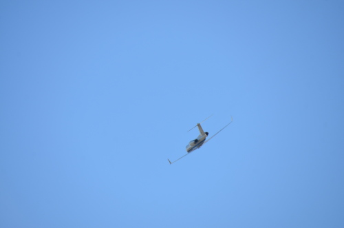 DSC_8393.JPG