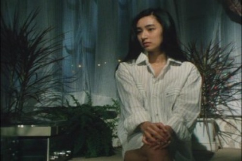 PDVD_000.jpg