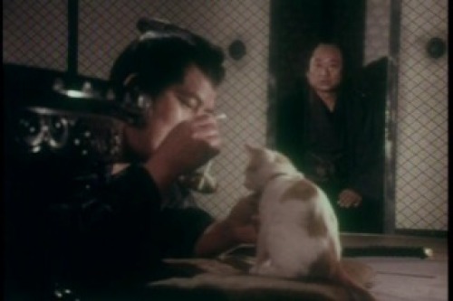 PDVD_009.jpg