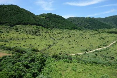 石垣185.jpg