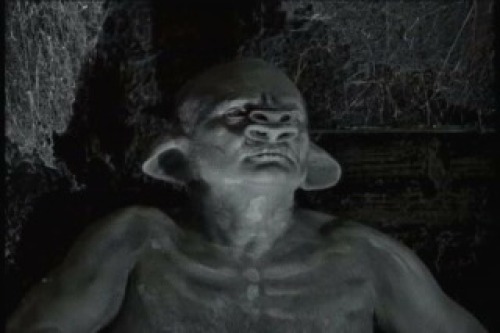 PDVD_024.jpg