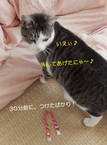 20150203_6.jpg