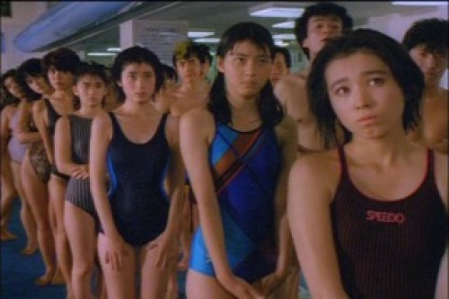 PDVD_024.jpg