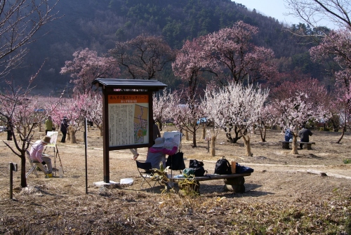 森の杏スケッチパークと絵描き (1280x857).jpg