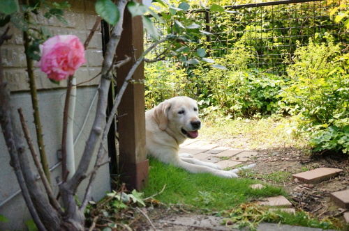 DSC02706.JPG