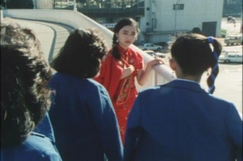 PDVD_004.jpg