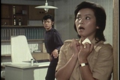 PDVD_011.jpg