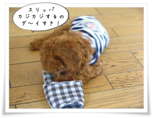 DSCF8388.jpg