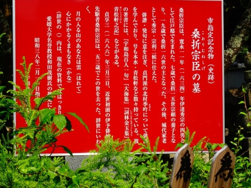 DSC06229_R.JPG