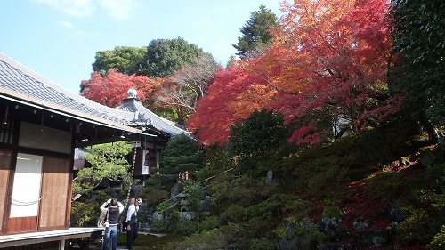 P1050240.jpg