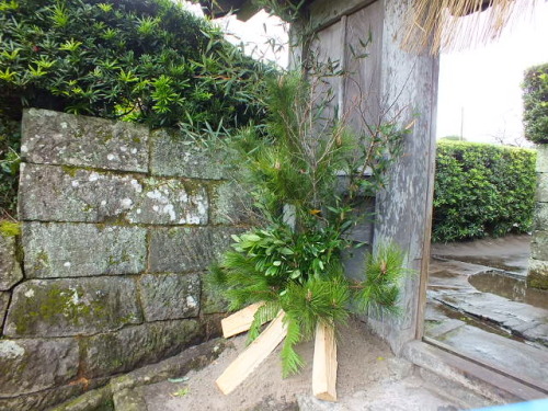 DSCF2536.JPG