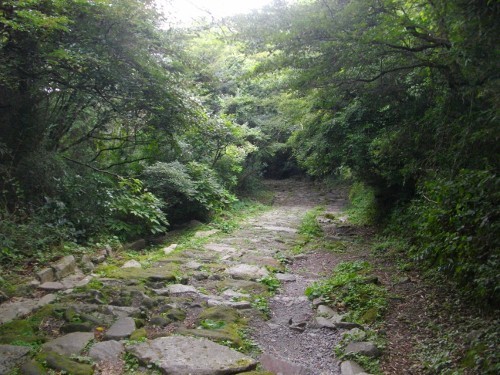 東海道箱根宿元箱根権現坂 (2) (500x375).jpg