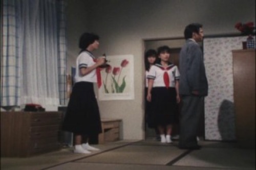 PDVD_005.jpg