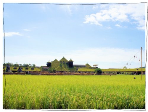 ラ コリーナ　ラコリーナ　近江八幡　たねや　La　Collina