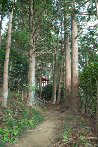 DSC_8304.JPG