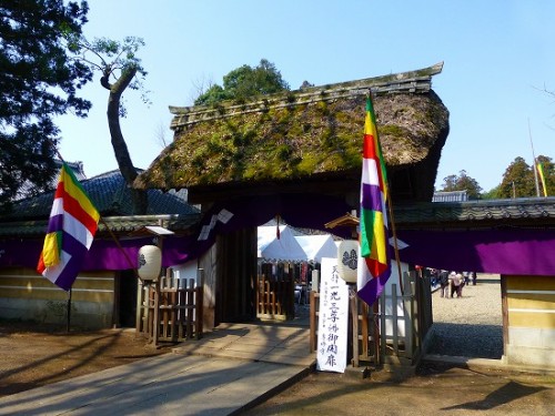 2014_03_27_高田山専修寺「天拝一光三尊佛御開扉」_03.jpg